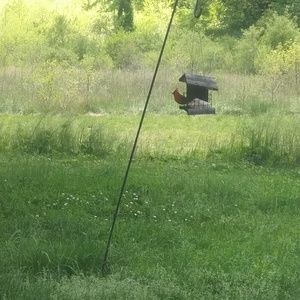 Meet your Posher, Tonya